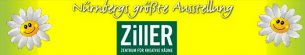Parkettleger Bayern: Ziller - Zentrum f&uuml;r kreative R&auml;ume